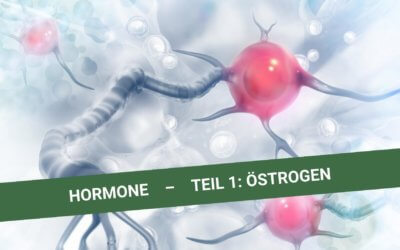 Hormone – Teil 1: Östrogen