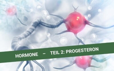 Hormone – Teil 2: Progesteron